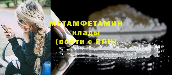 шишки Белоозёрский