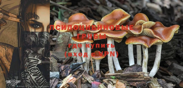 твердый Белокуриха