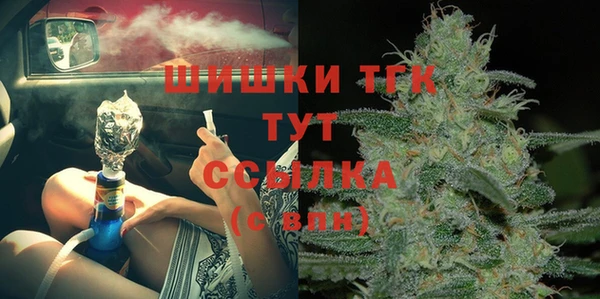 шишки Белоозёрский