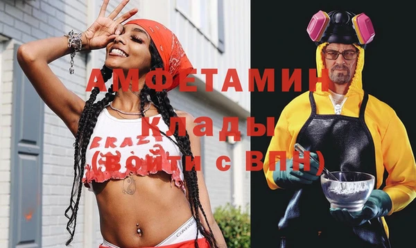 шишки Белоозёрский