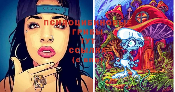 твердый Белокуриха