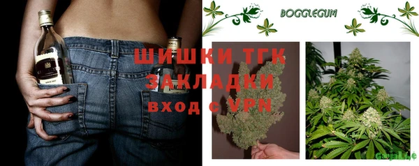 шишки Белоозёрский