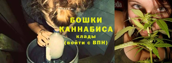 шишки Белоозёрский