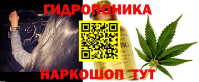 spice Заволжье