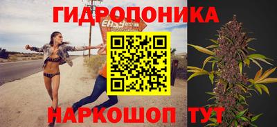 spice Заволжье
