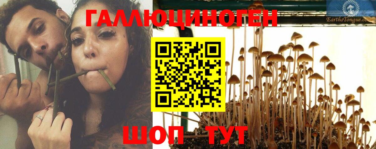 Малоярославец  Галлюциногенные грибы GOLDEN TEACHER  Вход с VPN 